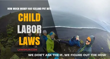 Iceland's Investment in Child Labor Laws: A Comprehensive Overview