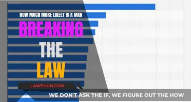 Men: Lawbreakers? Exploring Gender-based Crime Statistics