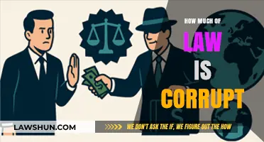 Unveiling the Shadows: Corruption's Grip on the Legal System