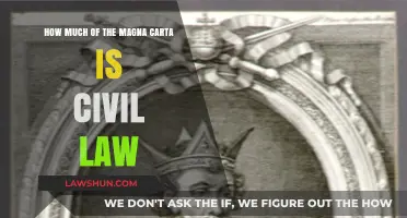 Exploring the Civil Law Foundations of the Magna Carta