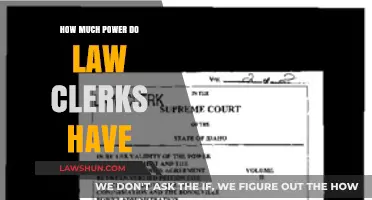 Unveiling the Influence: The Surprising Power of Law Clerks in Courts