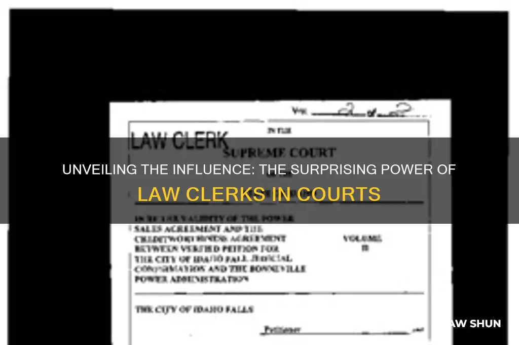 how much power do law clerks have