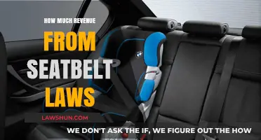 Boosting Road Safety: The Financial Impact of Seatbelt Legislation