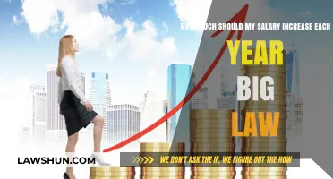 Annual Salary Increases in Big Law: What to Expect and Negotiate