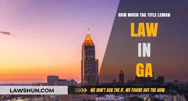 Understanding Georgia's Lemon Law: Tag Title Costs and Your Rights