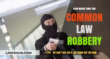 Understanding Common Law Robbery and Its Time Implications