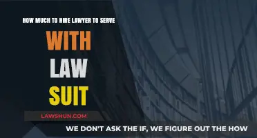 Cost of Hiring a Lawyer to Serve and File a Lawsuit