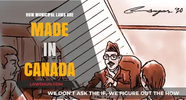 Municipal Law-Making: The Canadian Process