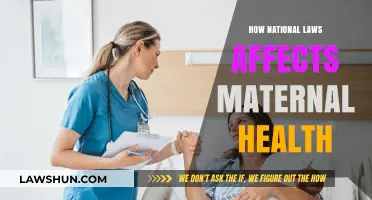 National Laws' Impact on Maternal Health: Policies, Challenges, and Outcomes