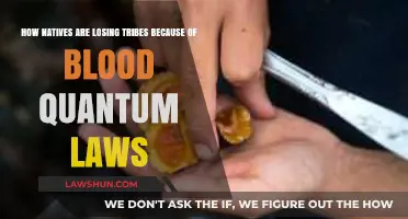 Blood Quantum Laws Erode Native Identity, Threaten Tribal Existence