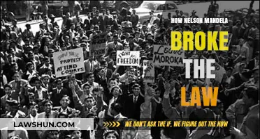Mandela's Defiance: The Laws He Broke for Freedom