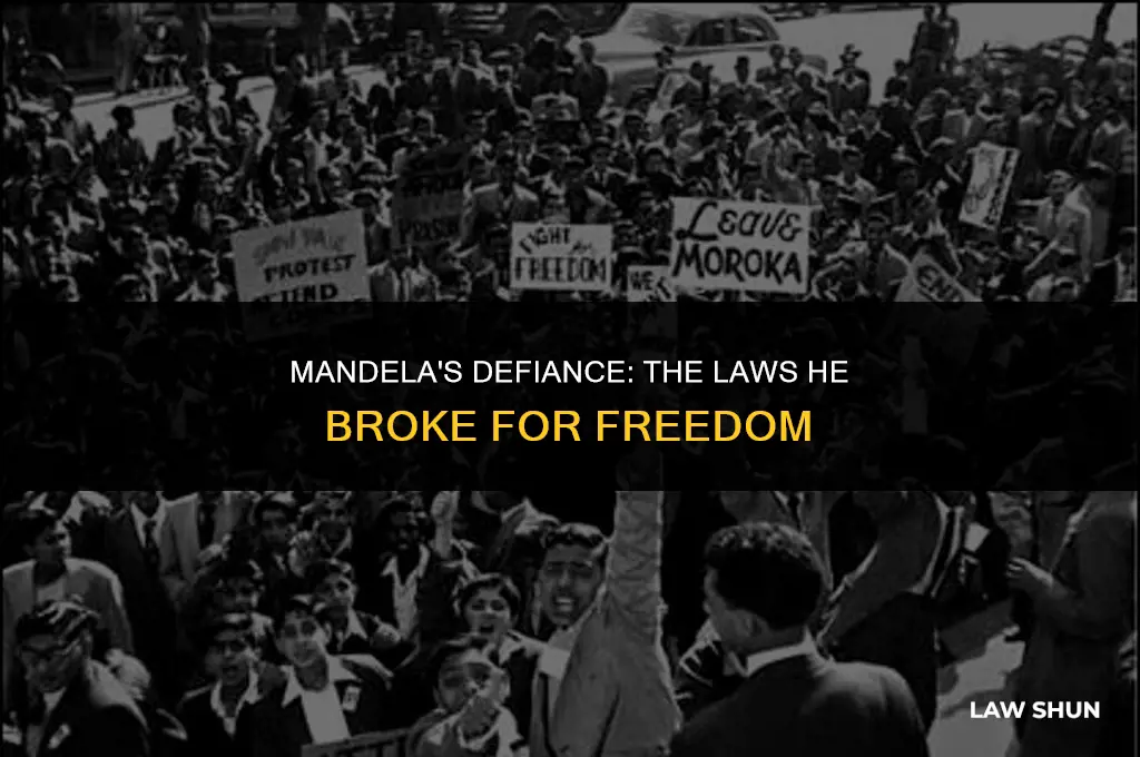how nelson mandela broke the law