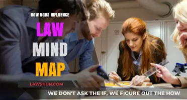 Mapping the Impact: How NGOs Shape Law and Policy