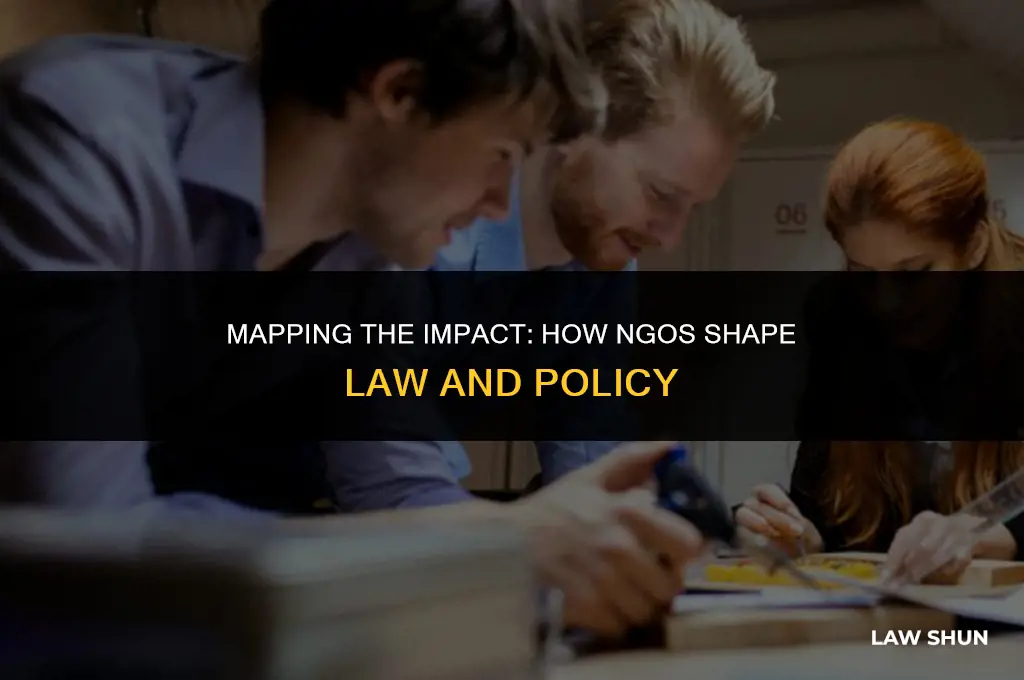 how ngos influence law mind map