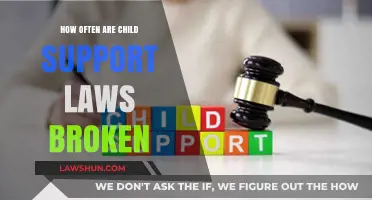 Child Support Laws: How Often Are They Violated and Why?
