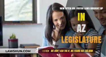 Arizona Foster Care Legislation: Frequency and Impact on Child Welfare