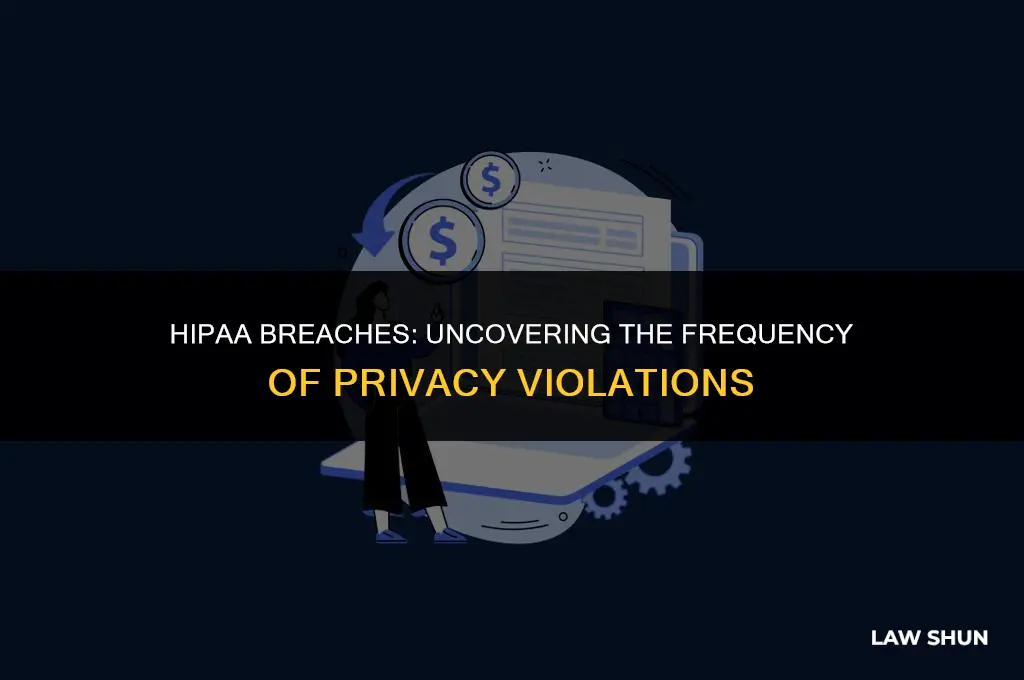 how often are hipaa laws broken