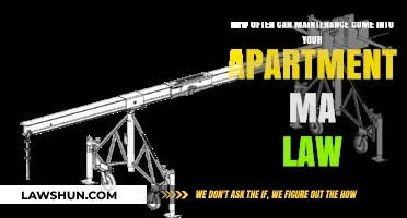 Understanding Your Rights: Maintenance Entry in Massachusetts