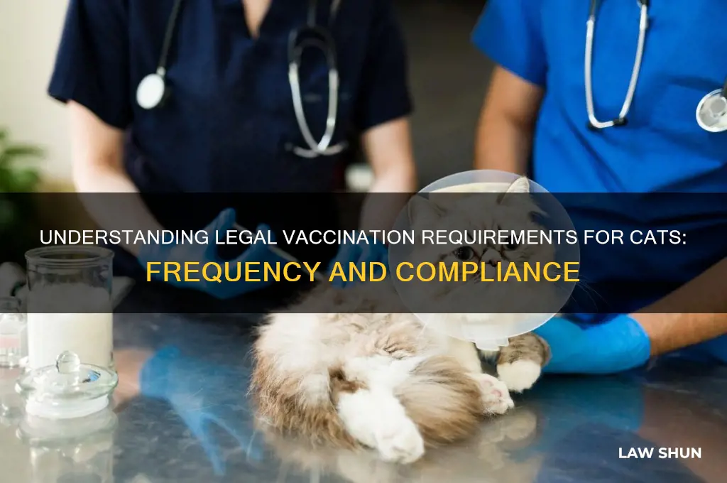 how often do cats need shots law