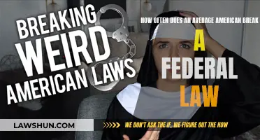 Americans Break Federal Laws: How Often Does It Happen?