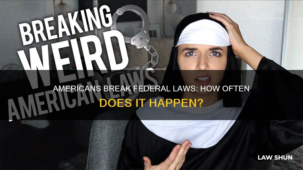 how often does an average american break a federal law