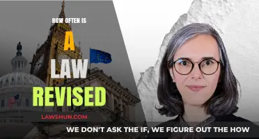 The Dynamic Nature of Legislation: How Often Are Laws Revised?