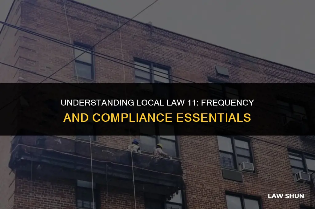 how often is local law 11