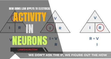 Ohms Law and Electrical Activity in Neurons