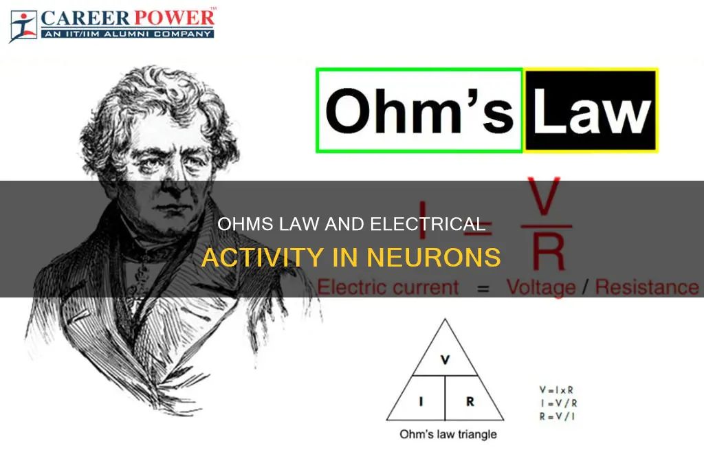 how ohms law applys to electrical activity in neurons