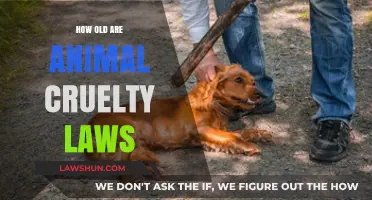 Tracing the History: Animal Cruelty Laws Through the Ages