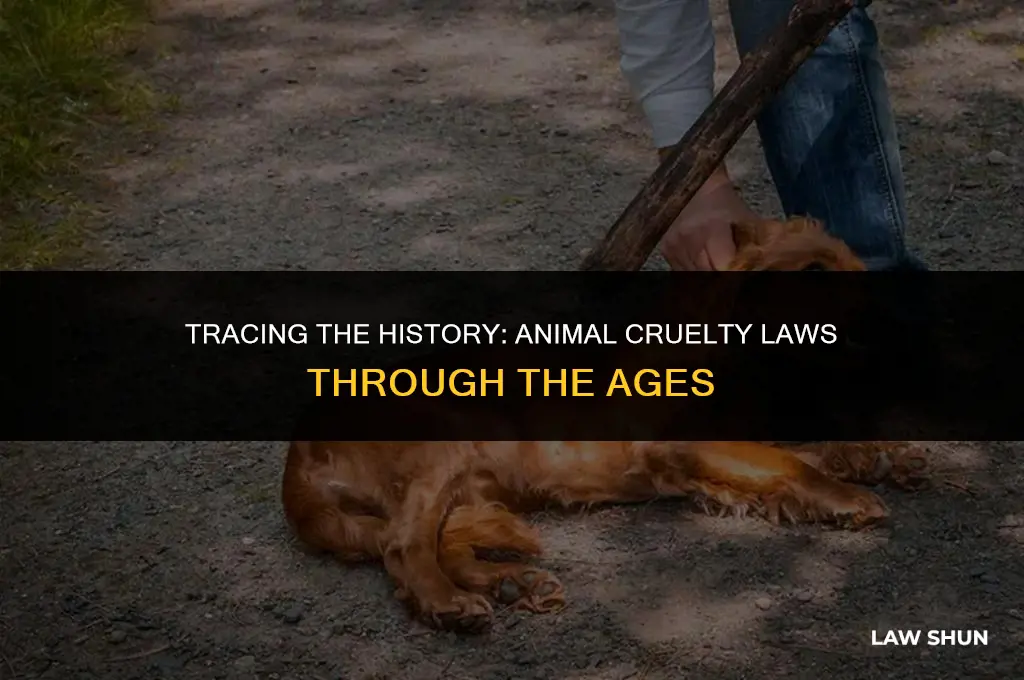 how old are animal cruelty laws