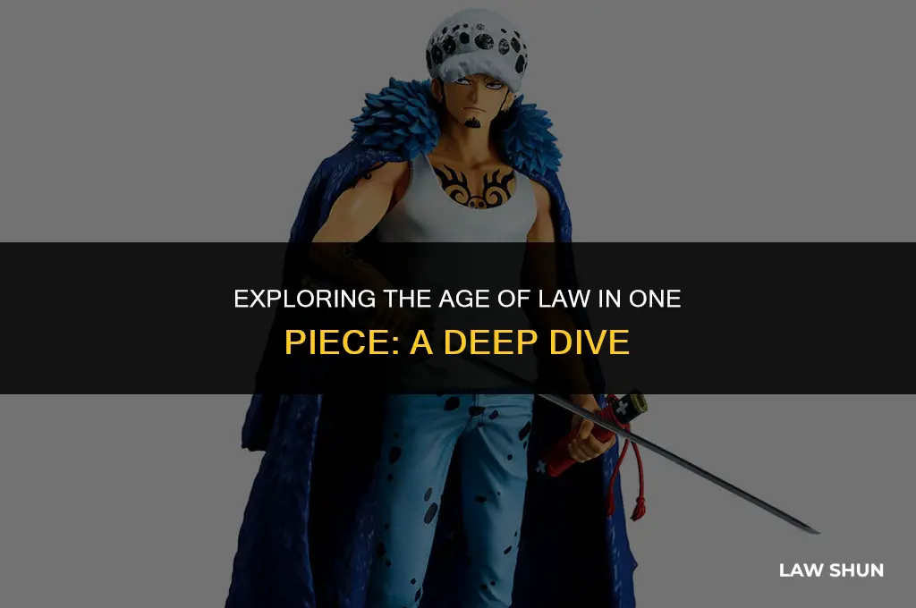 how old is law one piece