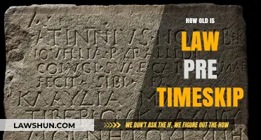 Exploring the Timeless Nature of Law Before the Time Skip