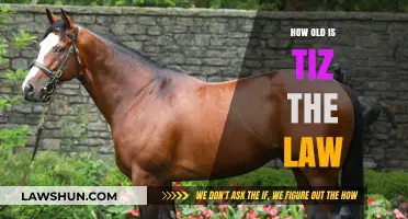 Unraveling the Mystery: How Old Is Tiz the Law?