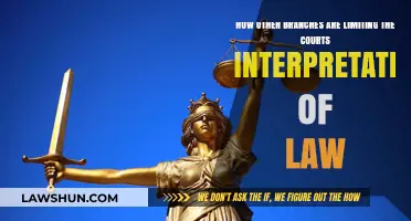 Judicial Constraints: How Other Branches Curb Court Law Interpretation