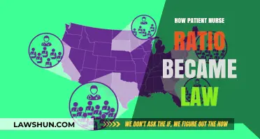 From Advocacy to Legislation: The Journey of Patient-Nurse Ratio Laws
