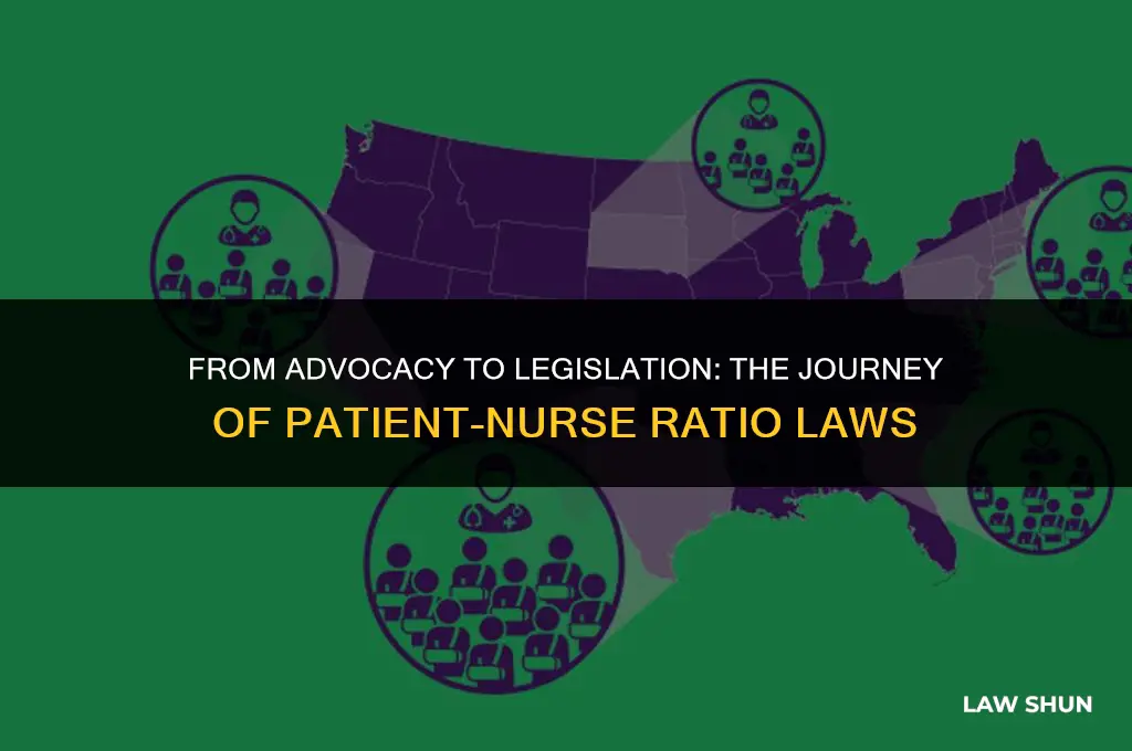 how patient nurse ratio became law
