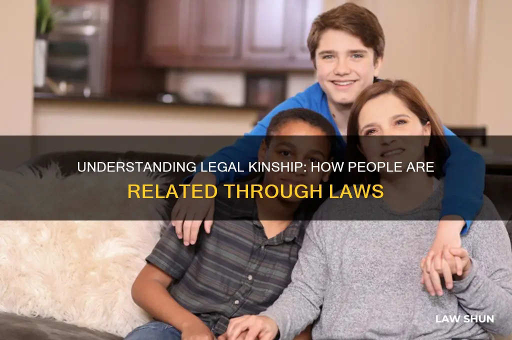 how people are related in laws
