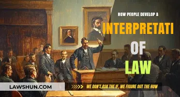 Understanding Legal Perspectives: How Individuals Interpret and Apply the Law