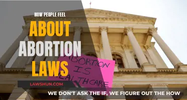 Abortion Laws: Public Opinion and Emotional Response