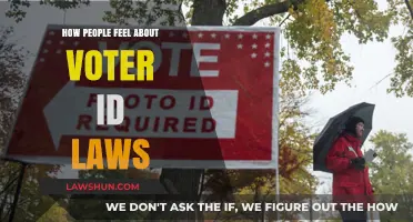 Voter ID Laws: Public Sentiment, Democracy, and Accessibility Concerns