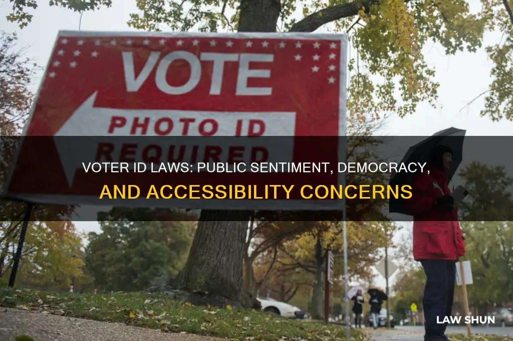 how people feel about voter id laws