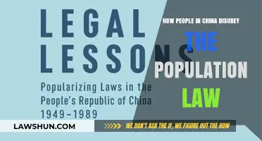 Defying China's Population Law: Uncovering Hidden Practices and Resistance