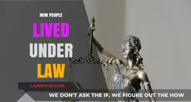 Living Under the Rule of Law: A Historical Perspective