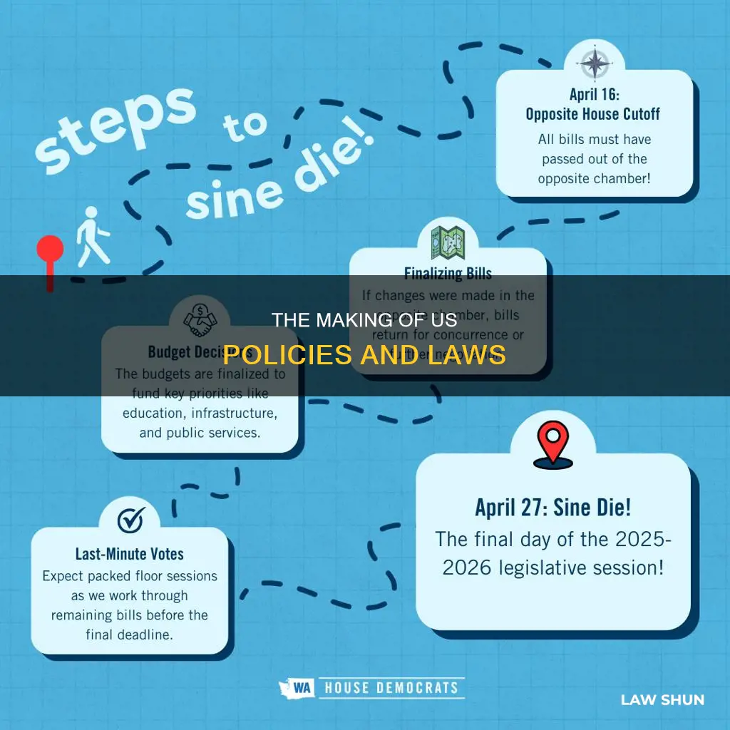 how policies and laws are created in usa
