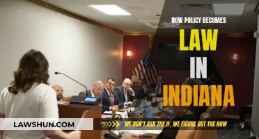 Policy to Law: Indiana's Legislative Journey