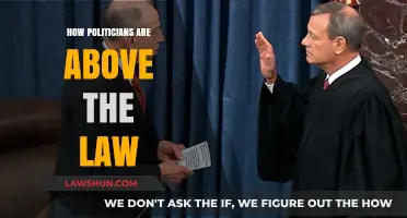 Unchecked Power: How Politicians Often Operate Above the Law