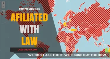 Legal Affiliations in the Sex Industry: A Comprehensive Overview