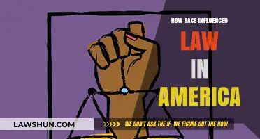 The Impact of Race on American Legal Systems: A Historical Overview
