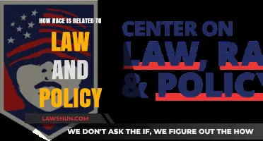 Race, Law, and Policy: Exploring Intersectional Impacts and Equity Challenges